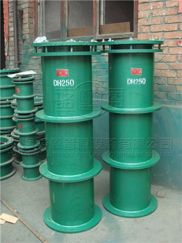 <a href=http://www.www.zhengshilong.com target=_blank class=infotextkey>防水套管</a>